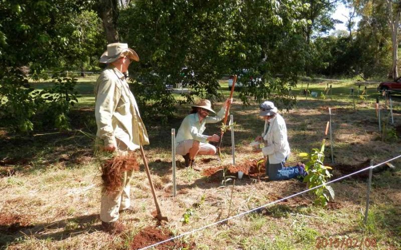 What You Should Do to Find Out About Commercial Landcare Services Before You’re Left Behind
